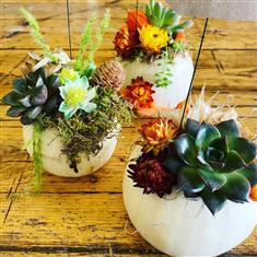 Autumn Gourd Trio