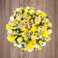 Yellow Posy