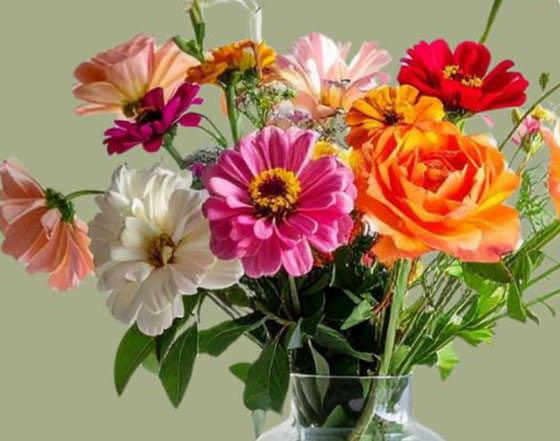Subscription Flowers